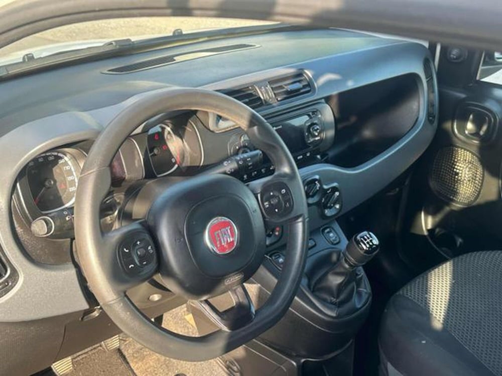 Fiat Panda usata a Lucca (10)