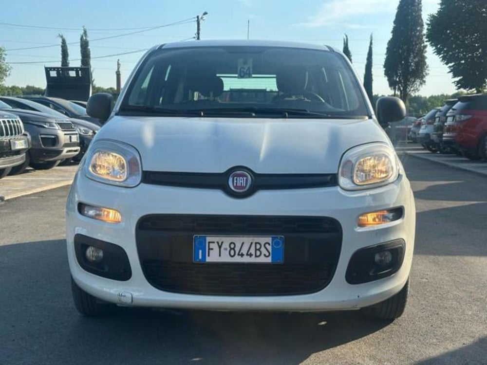 Fiat Panda usata a Lucca (2)