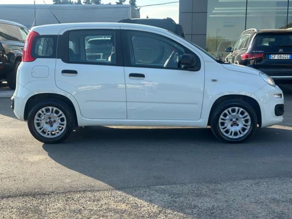 Fiat Panda usata a Lucca (4)