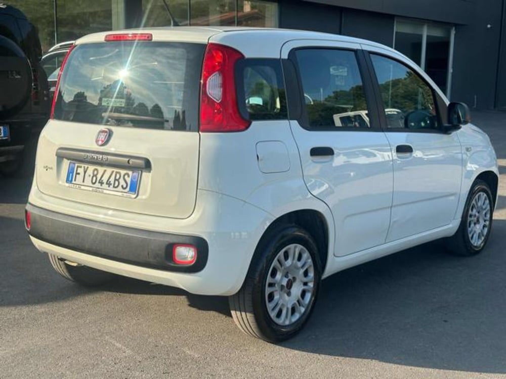 Fiat Panda usata a Lucca (5)