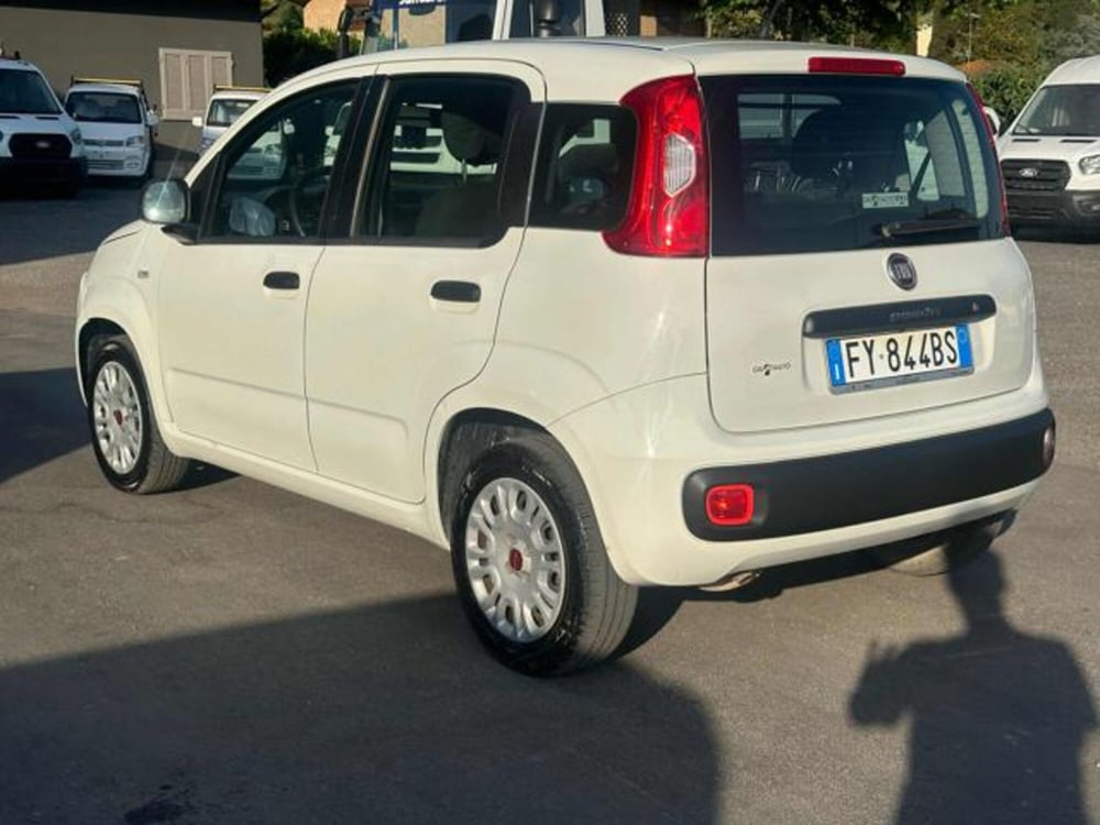 Fiat Panda usata a Lucca (7)