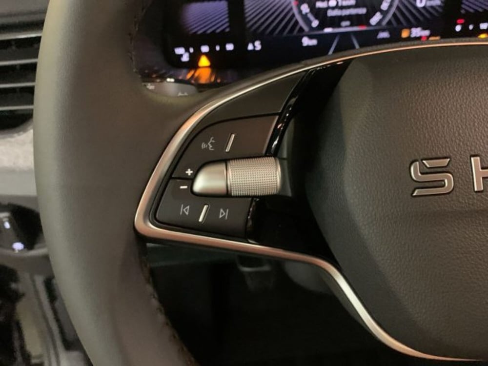 Skoda Kamiq nuova a Vicenza (10)
