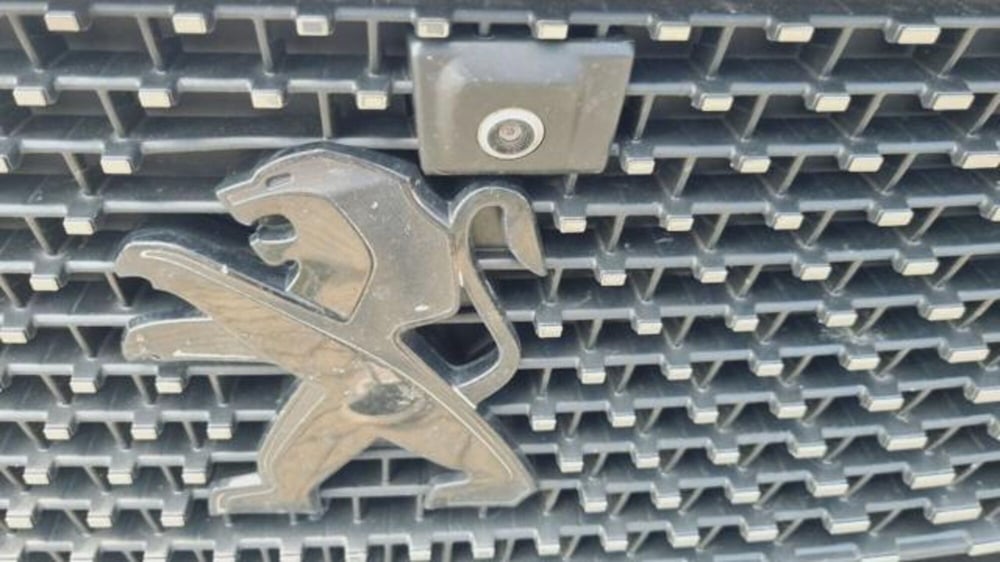 Peugeot 3008 usata a Savona (17)