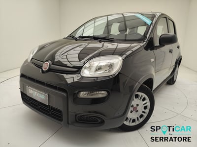 Fiat Panda 1.0 firefly hybrid s&amp;s 70cv 5p.ti del 2023 usata a Erba