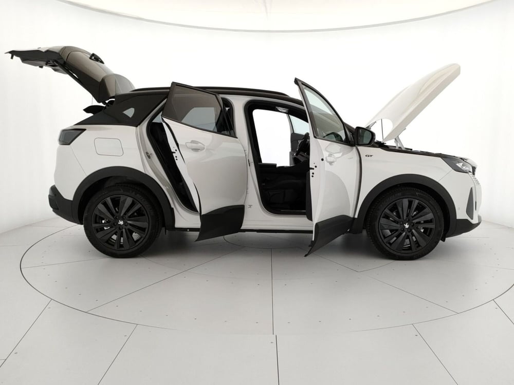 Peugeot 3008 usata a Caserta (8)