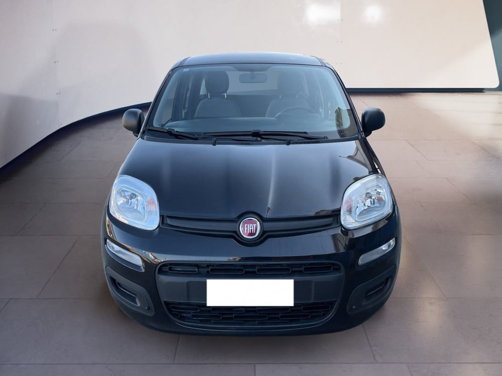 Fiat Panda usata a Torino