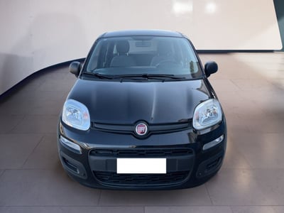 Fiat Panda 1.0 firefly hybrid s&amp;s 70cv 5p.ti del 2022 usata a Torino