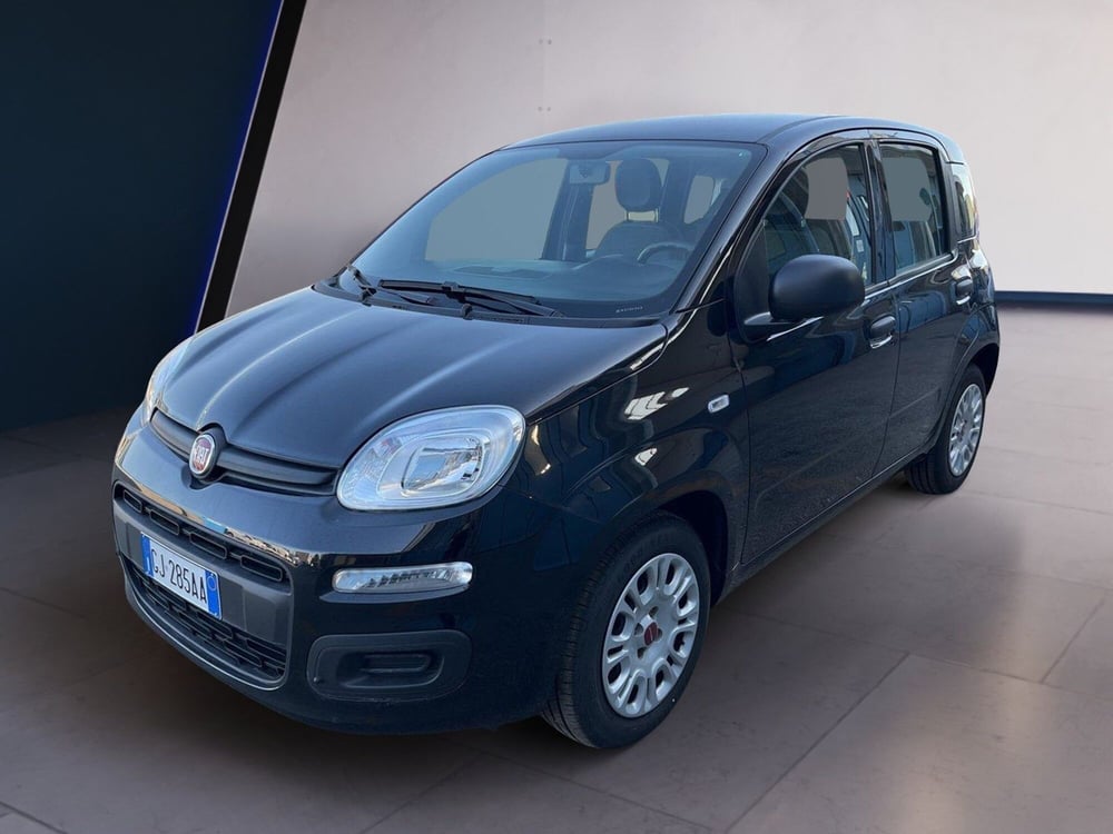 Fiat Panda usata a Torino (2)