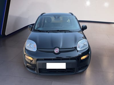 Fiat Panda 1.0 firefly hybrid s&amp;s 70cv 5p.ti del 2022 usata a Torino