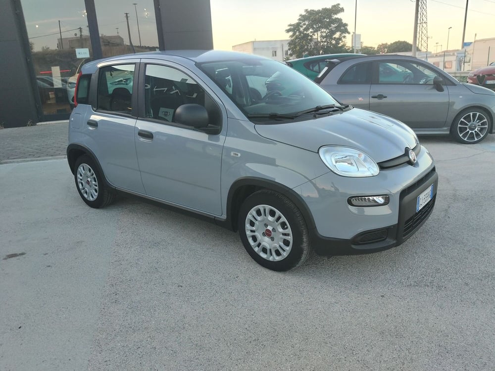Fiat Panda Cross usata a Matera (4)