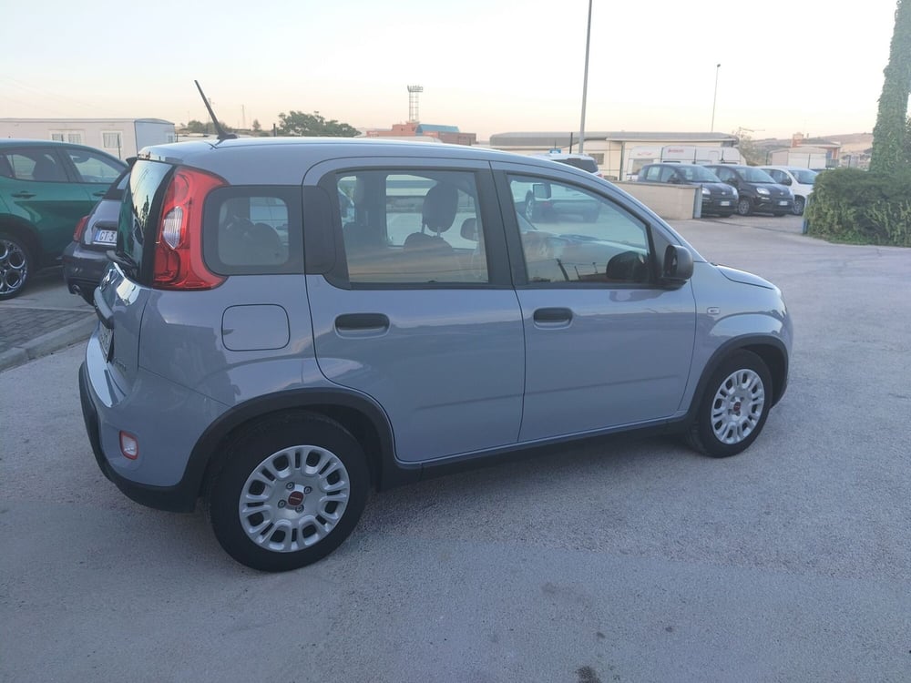 Fiat Panda Cross usata a Matera (5)