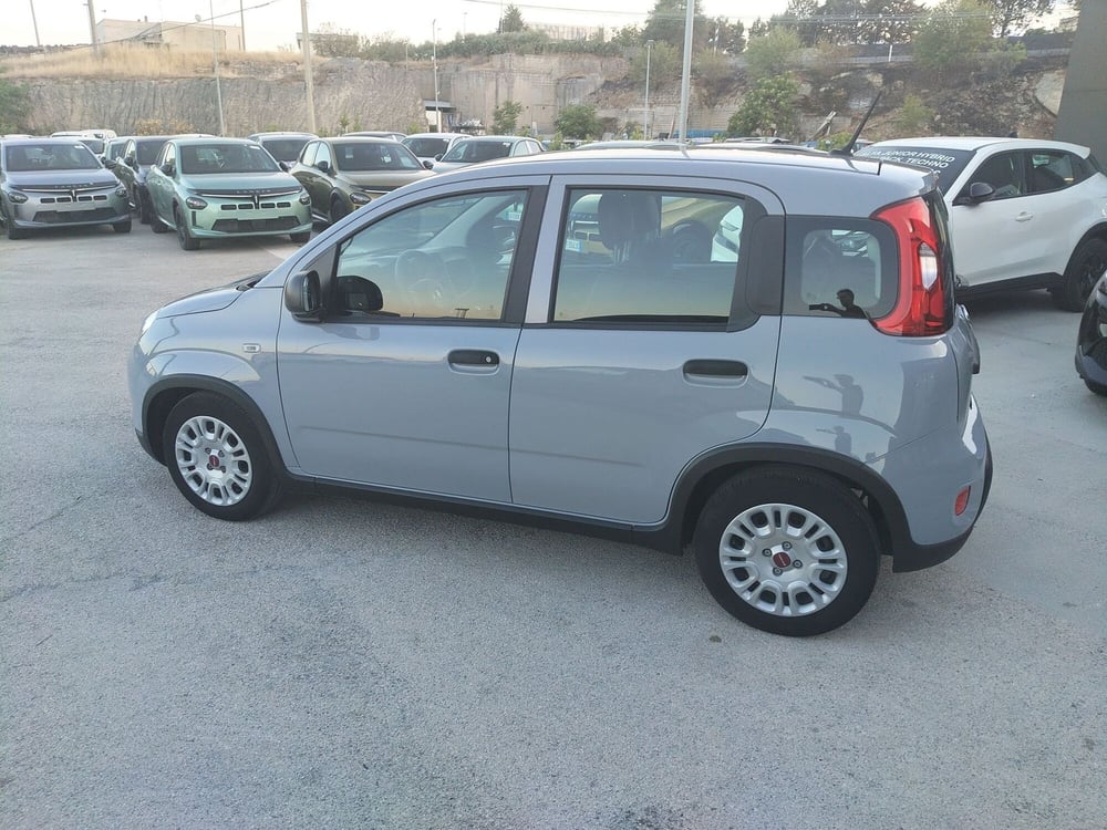 Fiat Panda Cross usata a Matera (9)