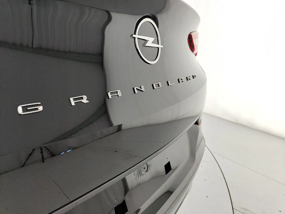 Opel Grandland nuova a Caserta (10)