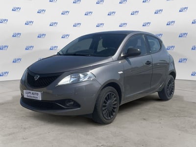 Lancia Ypsilon 1.2 69 CV 5 porte Elefantino Blu del 2019 usata a Pistoia