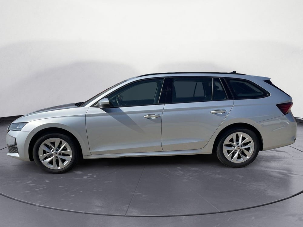 Skoda Octavia Station Wagon usata a Prato (2)