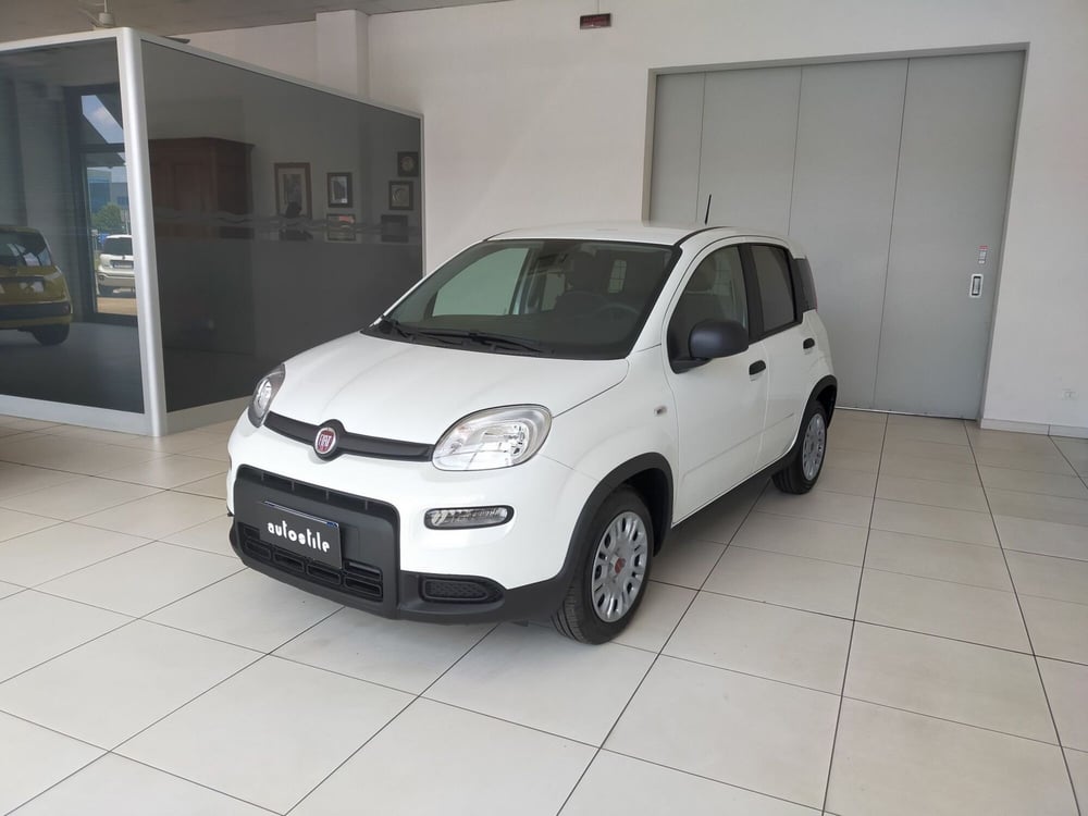 Fiat Panda nuova a Reggio Emilia (3)