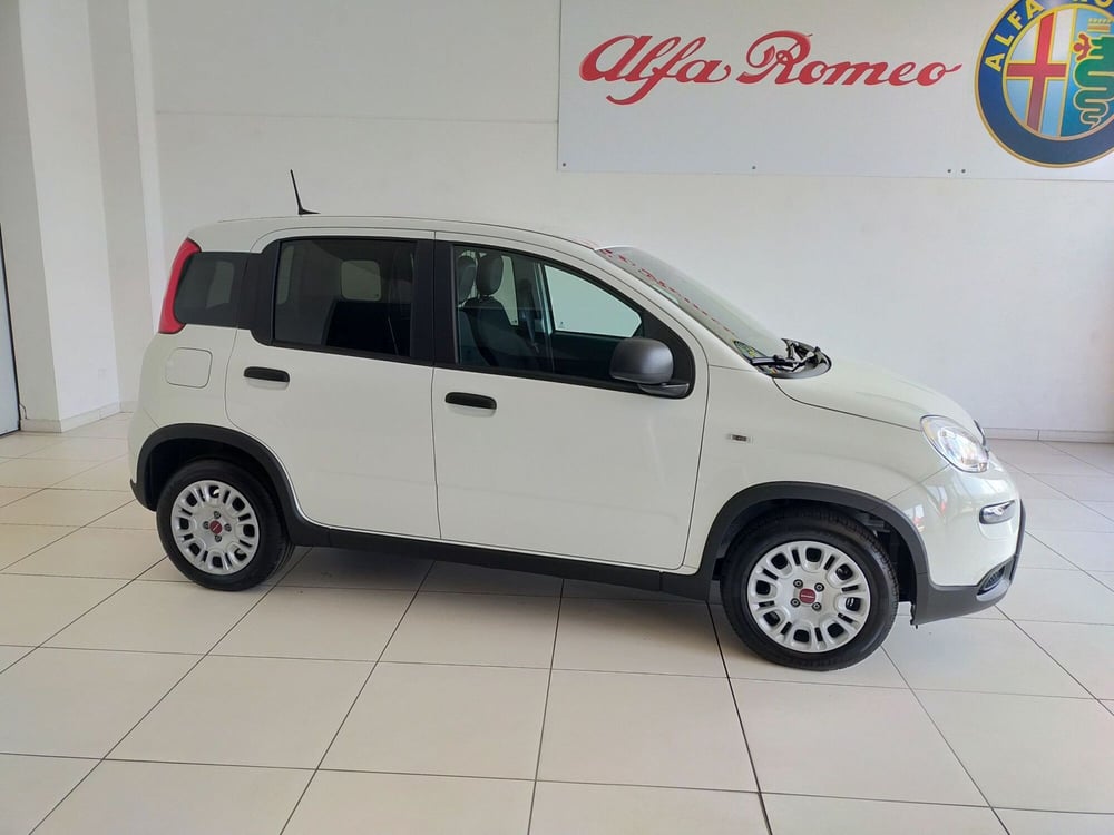 Fiat Panda nuova a Reggio Emilia (4)