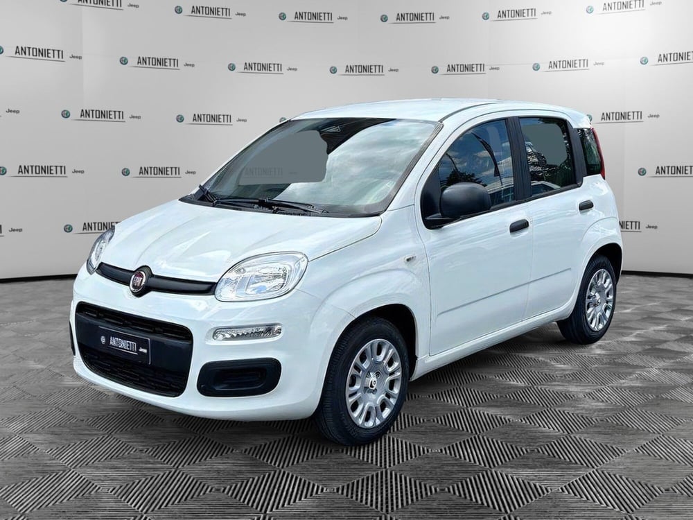 Fiat Panda Cross nuova a Ancona