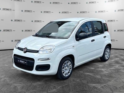 Fiat Panda Cross Cross 1.0 FireFly S&amp;S Hybrid nuova a Fabriano