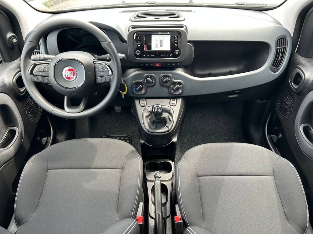 Fiat Panda Cross nuova a Ancona (15)