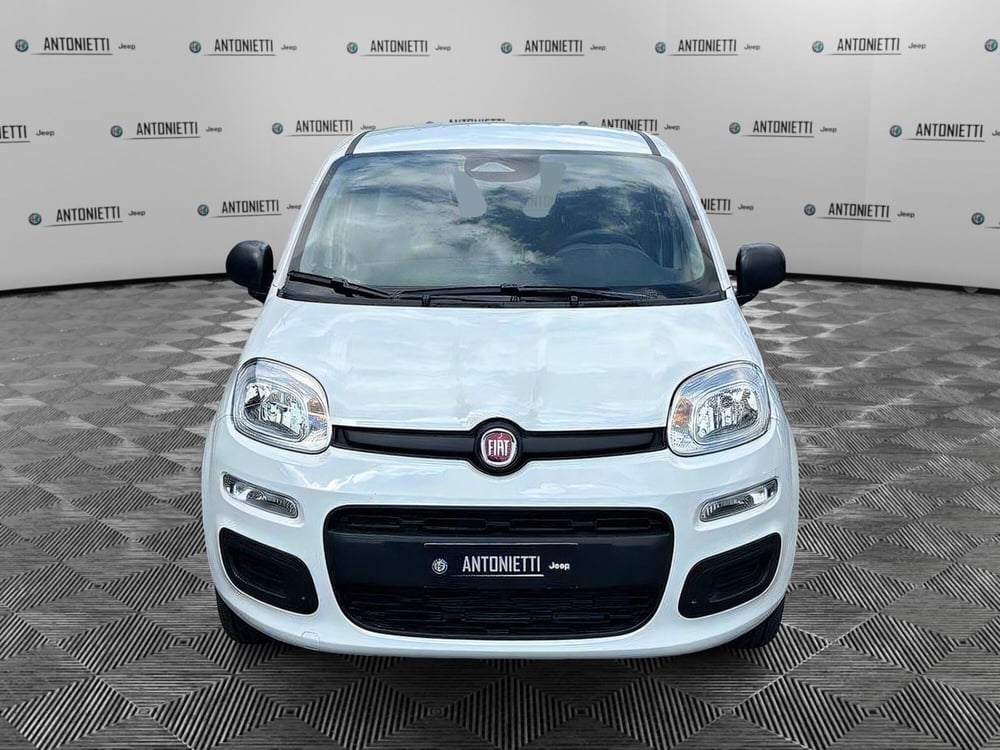 Fiat Panda Cross nuova a Ancona (2)