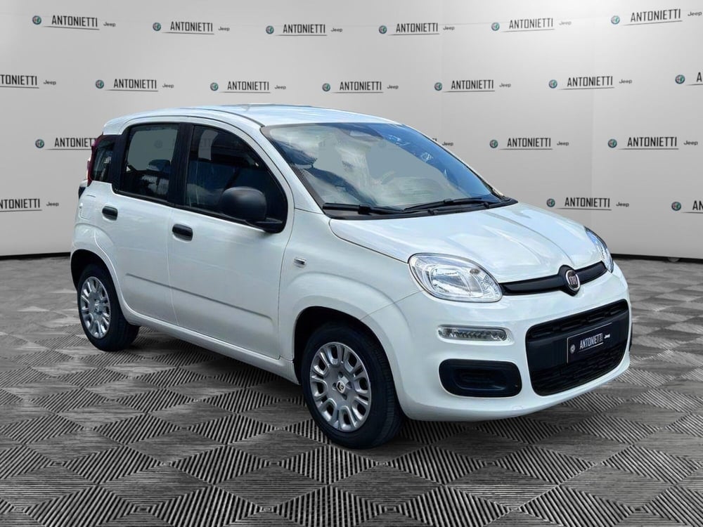 Fiat Panda Cross nuova a Ancona (3)