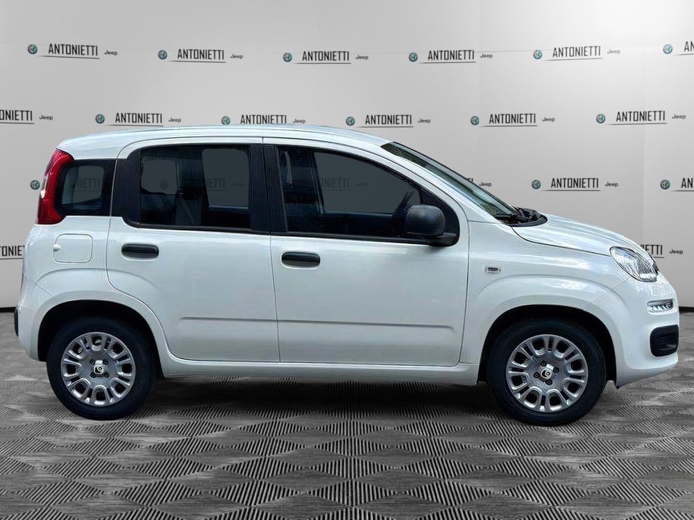 Fiat Panda Cross nuova a Ancona (4)