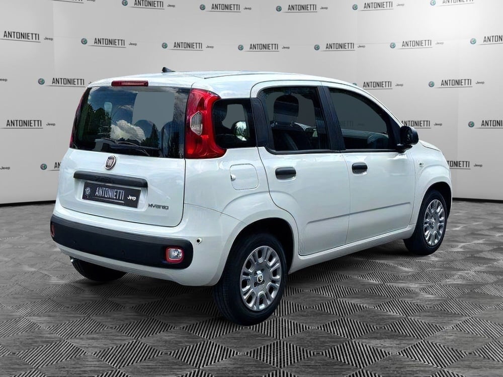 Fiat Panda Cross nuova a Ancona (5)