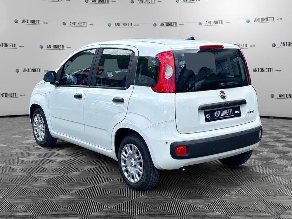 Fiat Panda Cross nuova a Ancona (7)