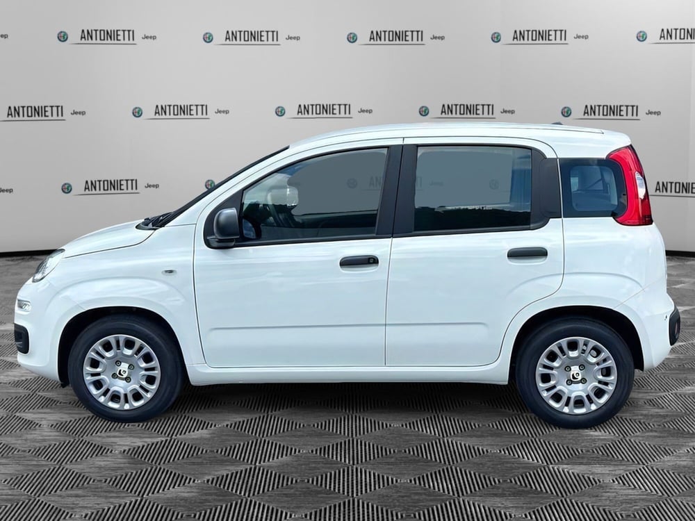 Fiat Panda Cross nuova a Ancona (8)