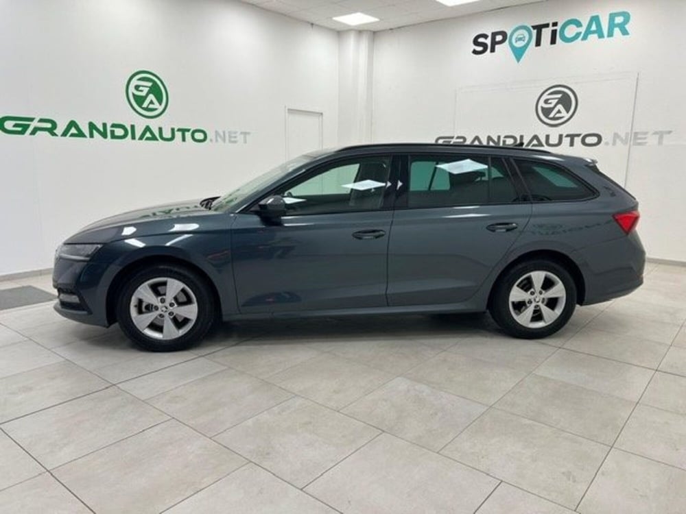 Skoda Octavia Station Wagon usata a Alessandria (2)