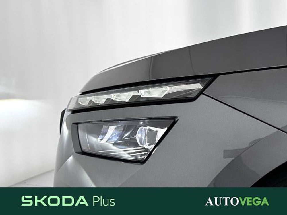 Skoda Kamiq usata a Vicenza (20)