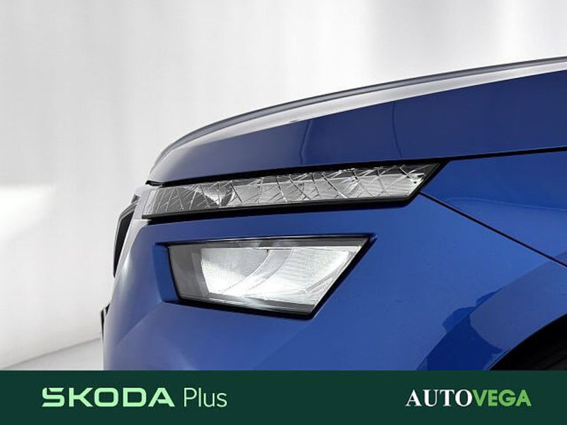 Skoda Kamiq usata a Vicenza (14)
