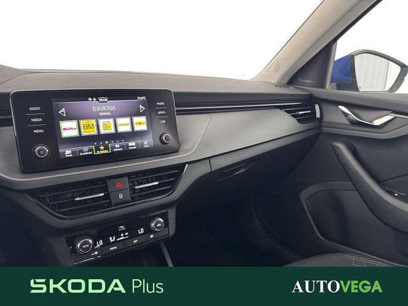 Skoda Kamiq usata a Vicenza (20)