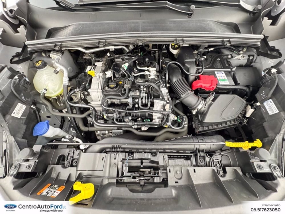 Ford Puma usata a Roma (12)