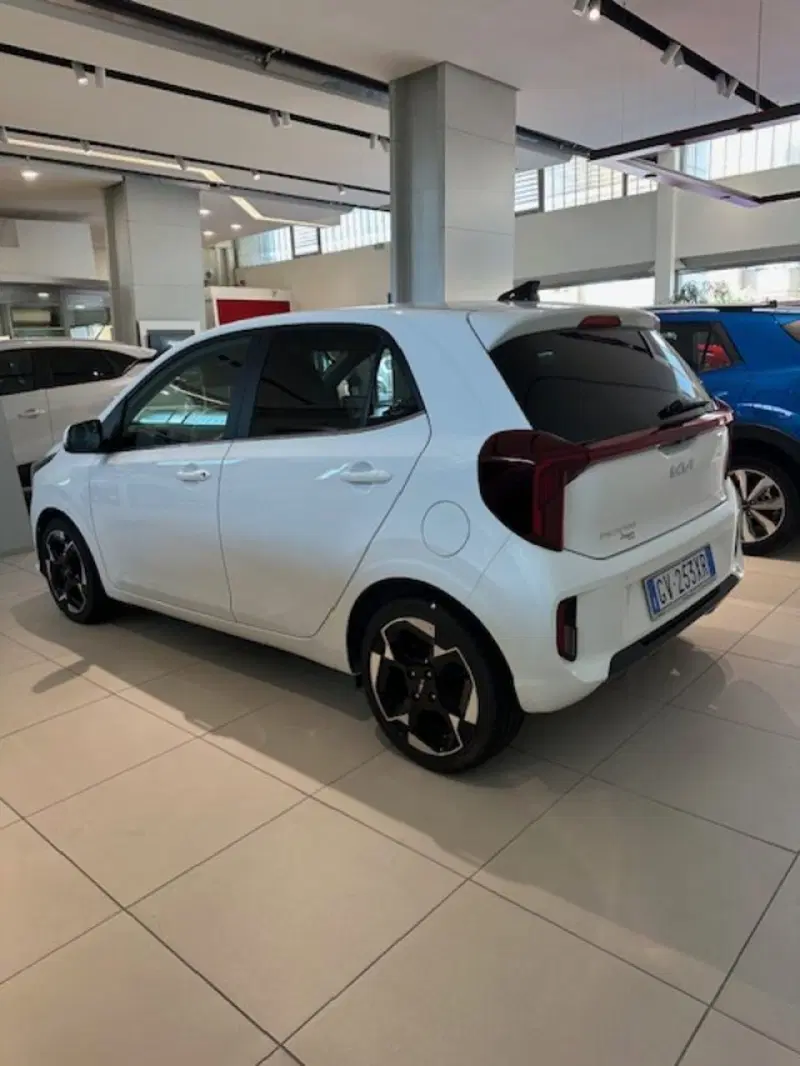 Kia Picanto nuova a Novara (6)