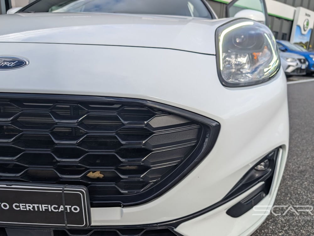 Ford Puma usata a Livorno (10)