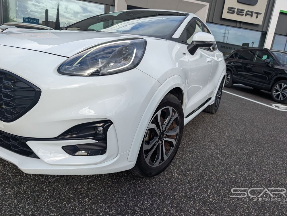 Ford Puma usata a Livorno (12)