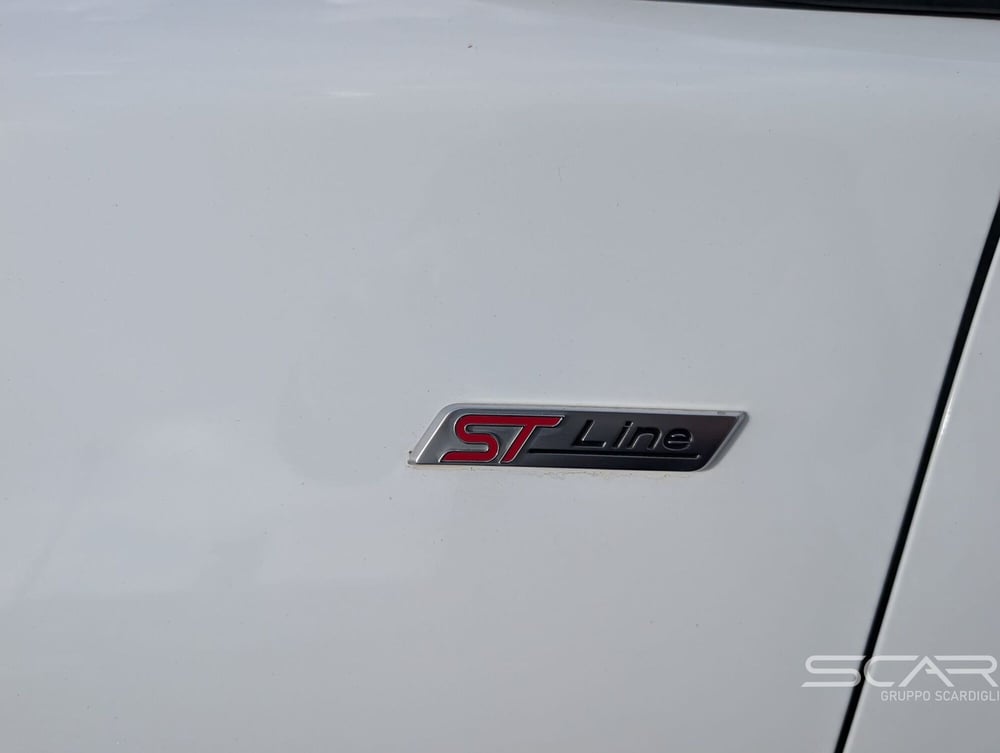 Ford Puma usata a Livorno (19)