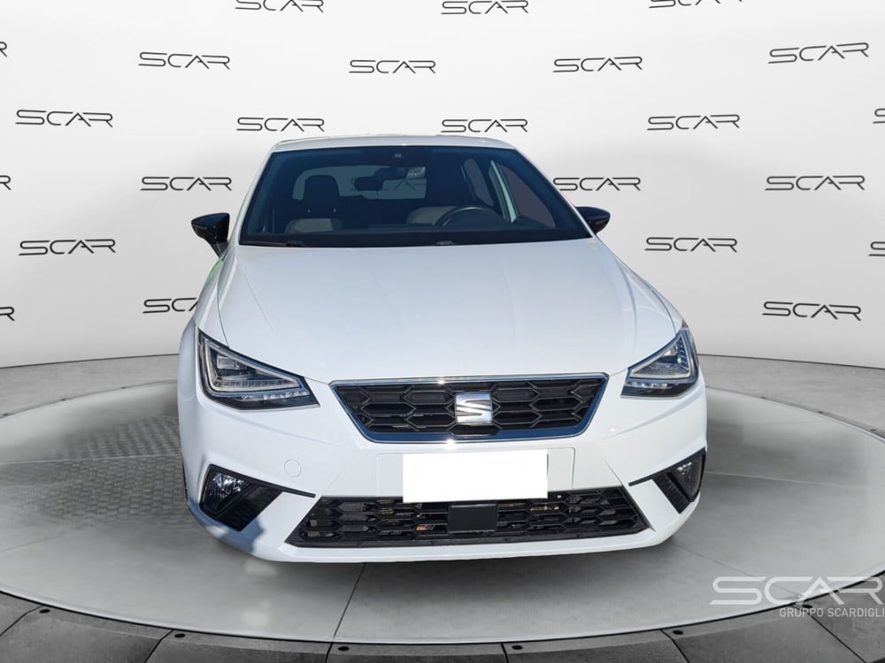 SEAT Ibiza usata a Livorno (2)