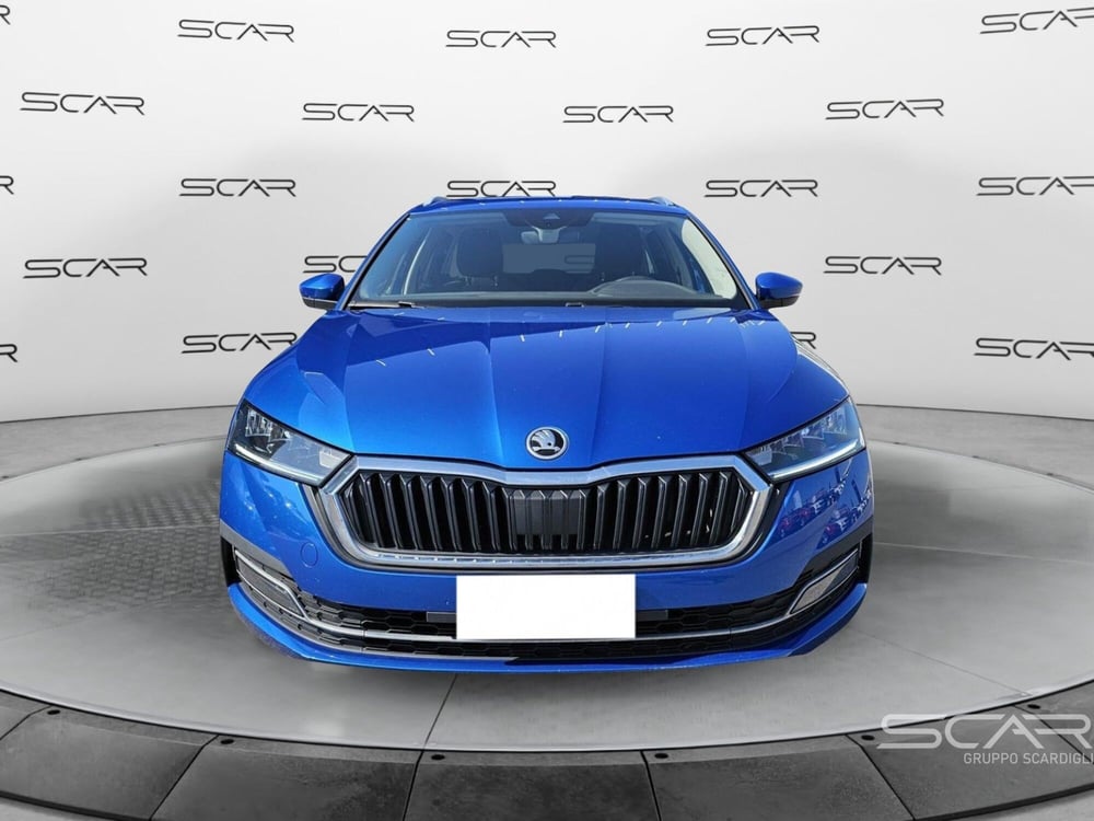 Skoda Octavia Station Wagon usata a Livorno (8)