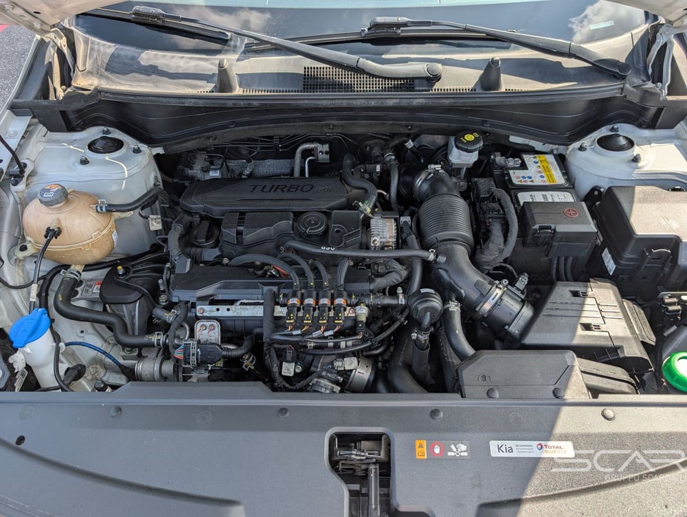 Kia Sportage usata a Livorno (16)