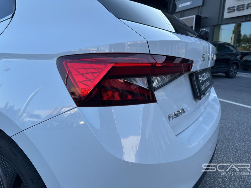 Skoda Fabia usata a Livorno (10)
