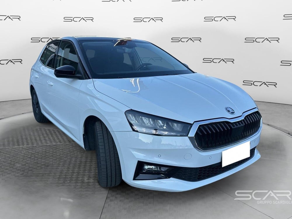 Skoda Fabia usata a Livorno (8)