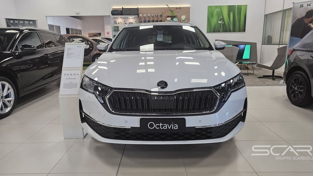 Skoda Octavia Station Wagon nuova a Livorno (6)