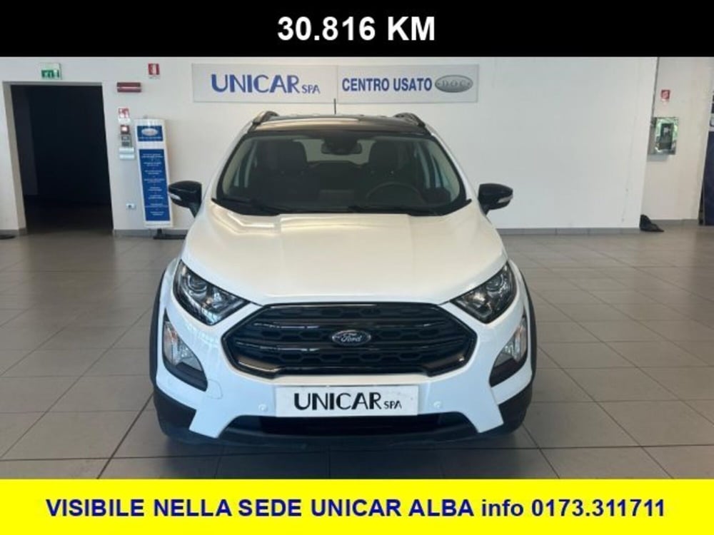 Ford EcoSport usata a Cuneo (2)