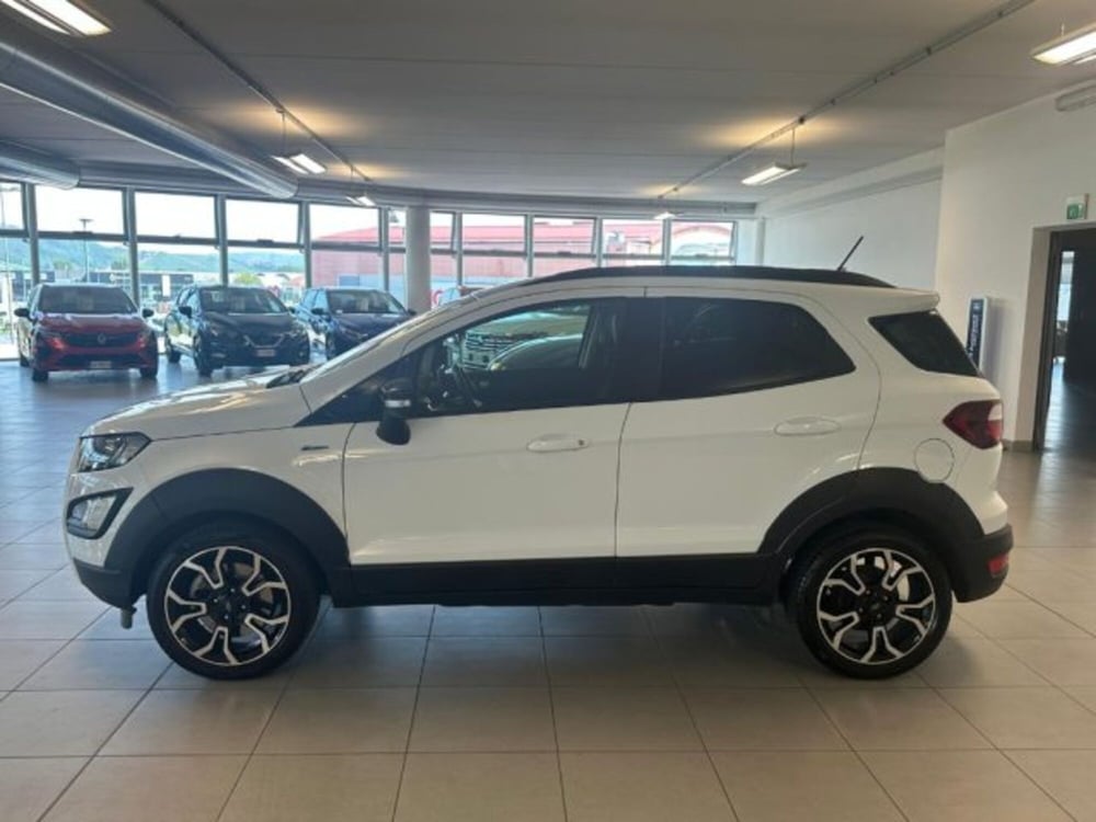 Ford EcoSport usata a Cuneo (4)