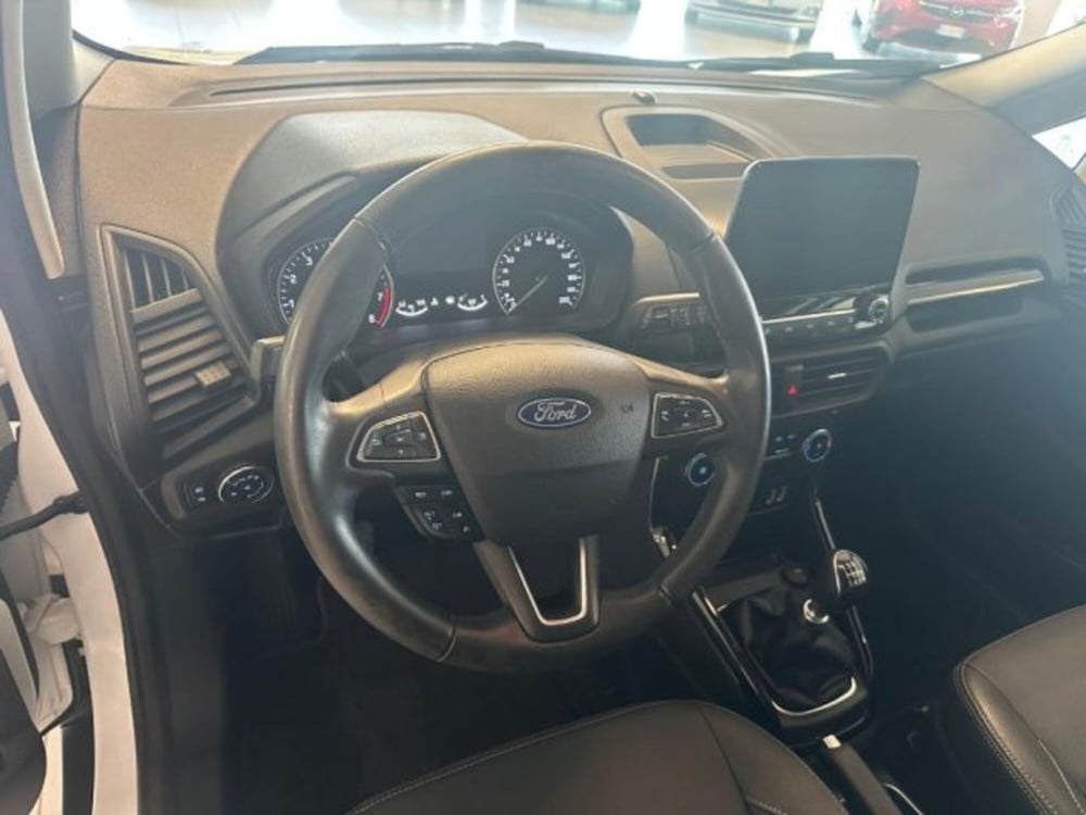 Ford EcoSport usata a Cuneo (9)