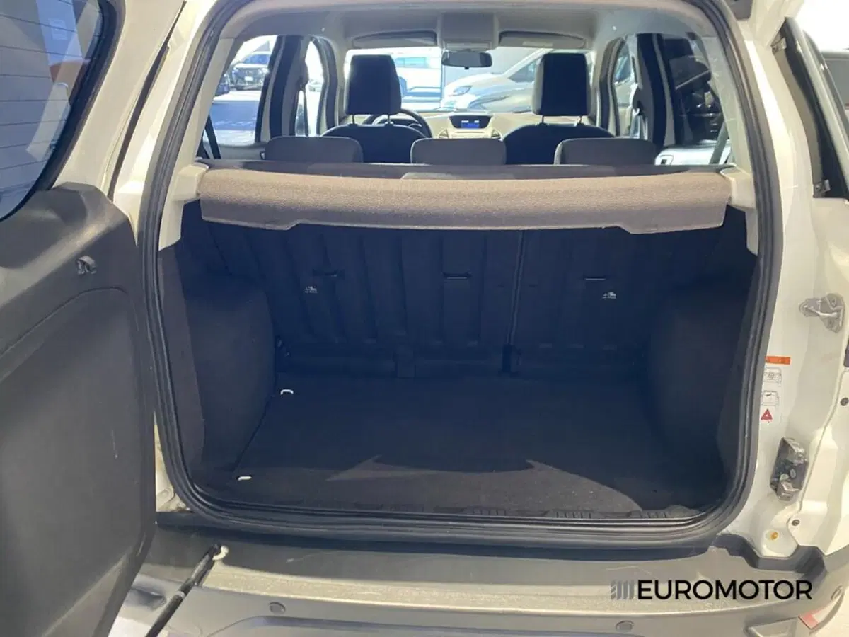 Ford EcoSport usata a Bari (14)