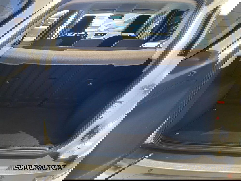 Ford EcoSport usata a Bari (14)